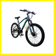 Cargar imagen en el visor de la galería, BICICLETA EUROBIKE MTB 24