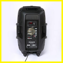 Cargar imagen en el visor de la galería, Bocina AIWA 1000W PMPO de 15" con micrófono AWSP15TW